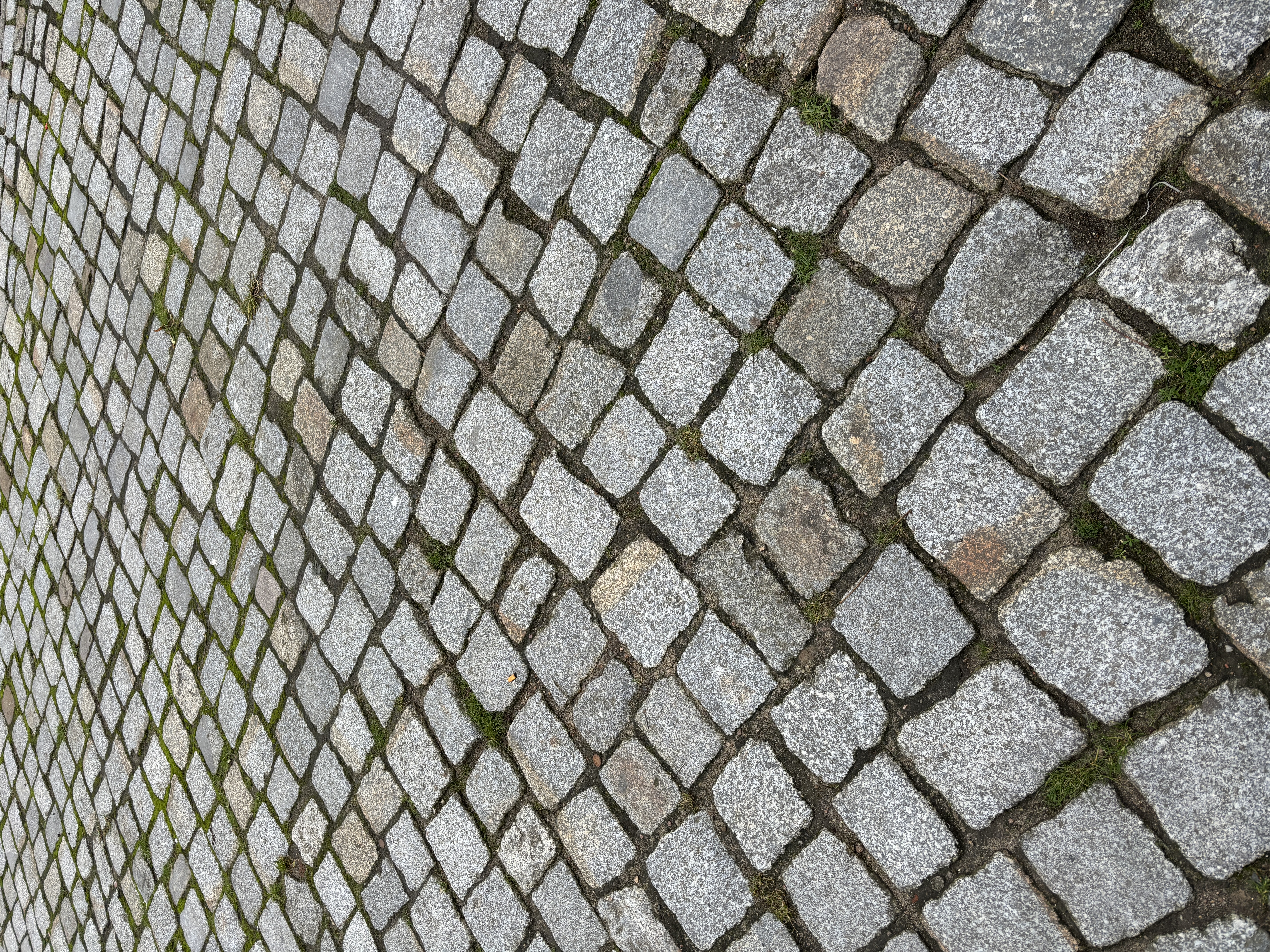 Passe grau — gesägtes und geflammtes Natursteinpflaster